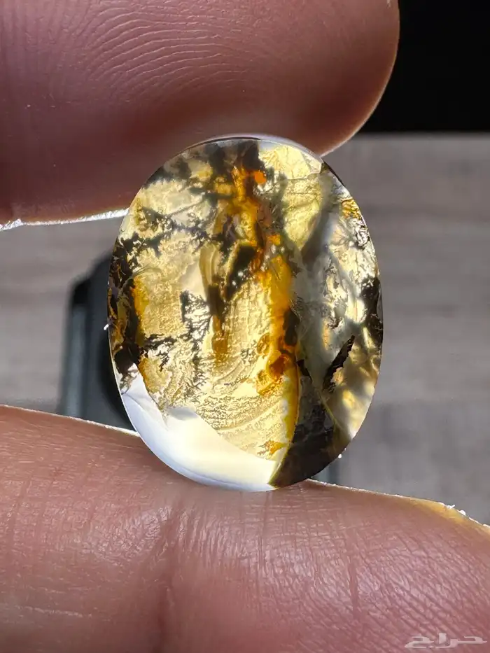 عقيق يماني طبيعي شجري مصور 1