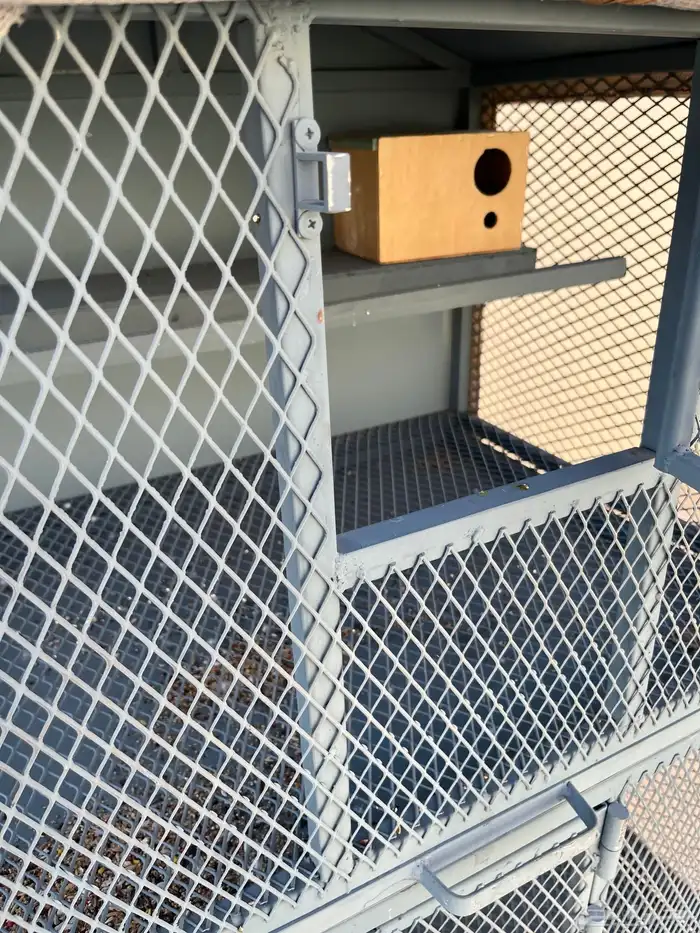 مطير دورين 3