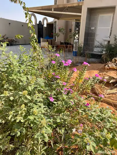 أشجار متنوعه مجانا index