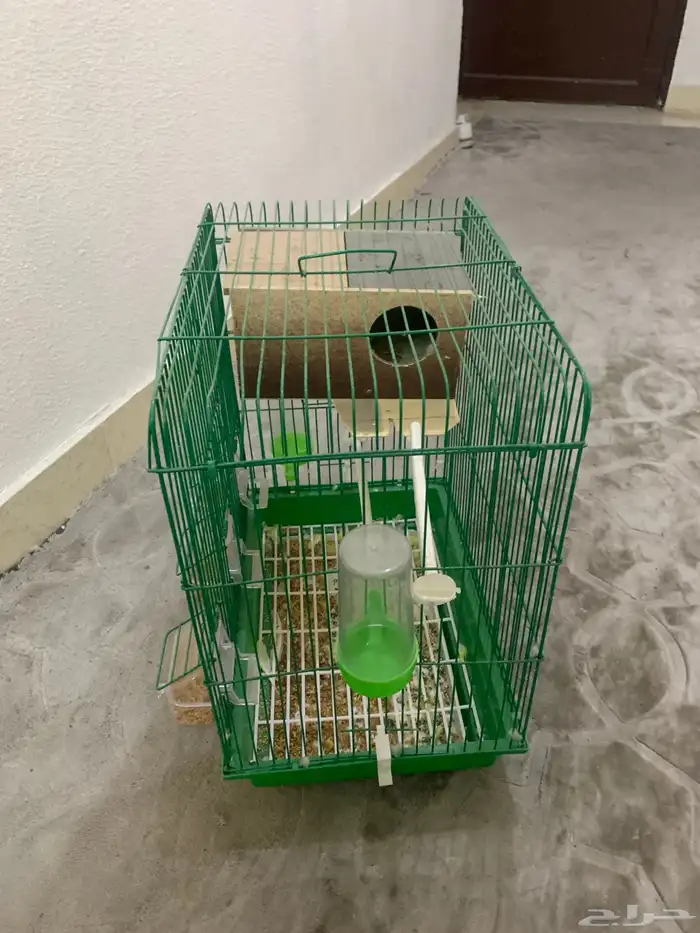 قفص طيور بحالة جيدة قفص جديد 0