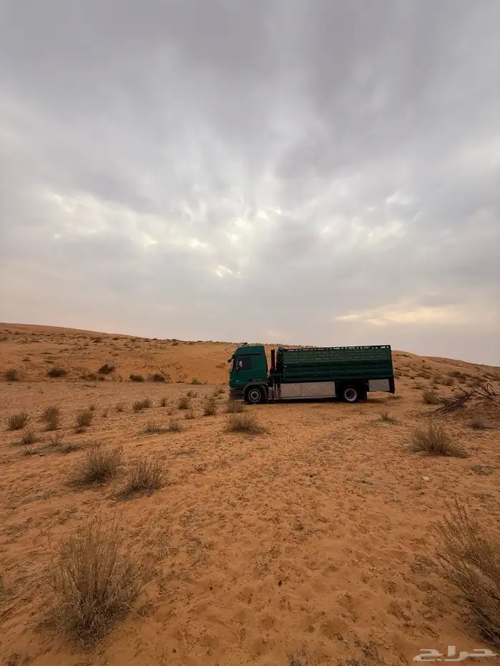 لوري ونش لنقل الابل اكترس لتحميل الابل 0