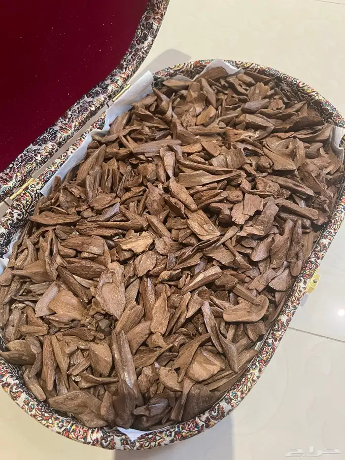 عود موروكي سوبر مرتفع ودبل 0