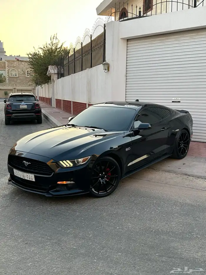 موستنق 2016 ممشى قليل 0