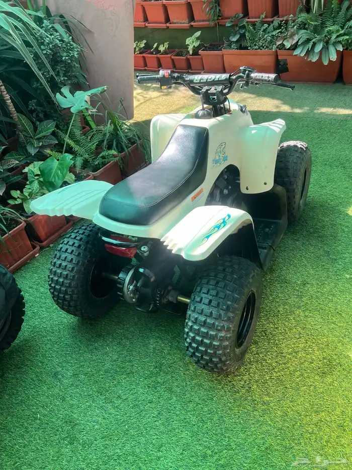 دباب تايواني مقاس 80 2