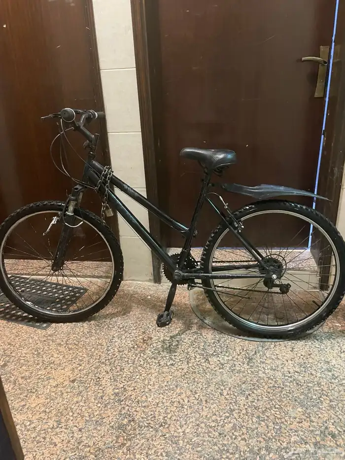 سيكل إندنوسي 0