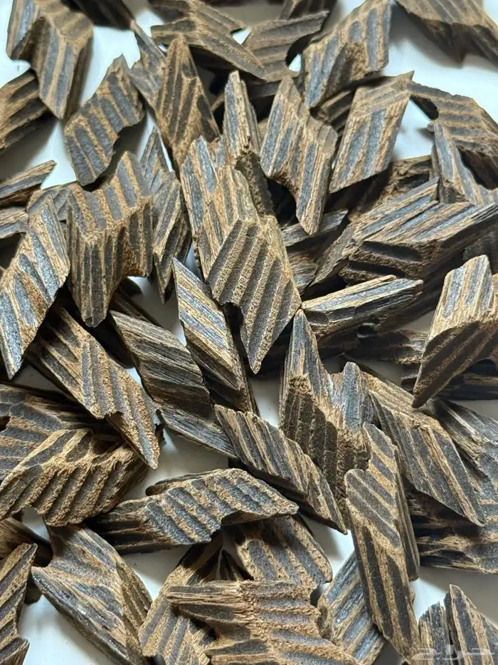 عود تايقر كمبودي 0