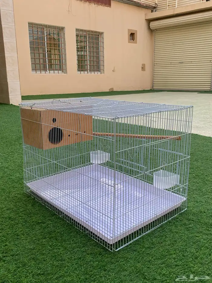 اقفاص عصافير زينه 2