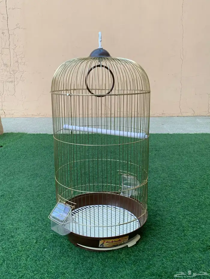 اقفاص عصافير زينه 3