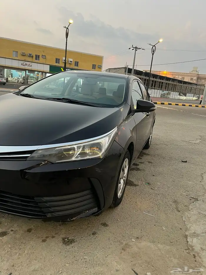 كوريلا لون بني ( موكا ) 2017 10