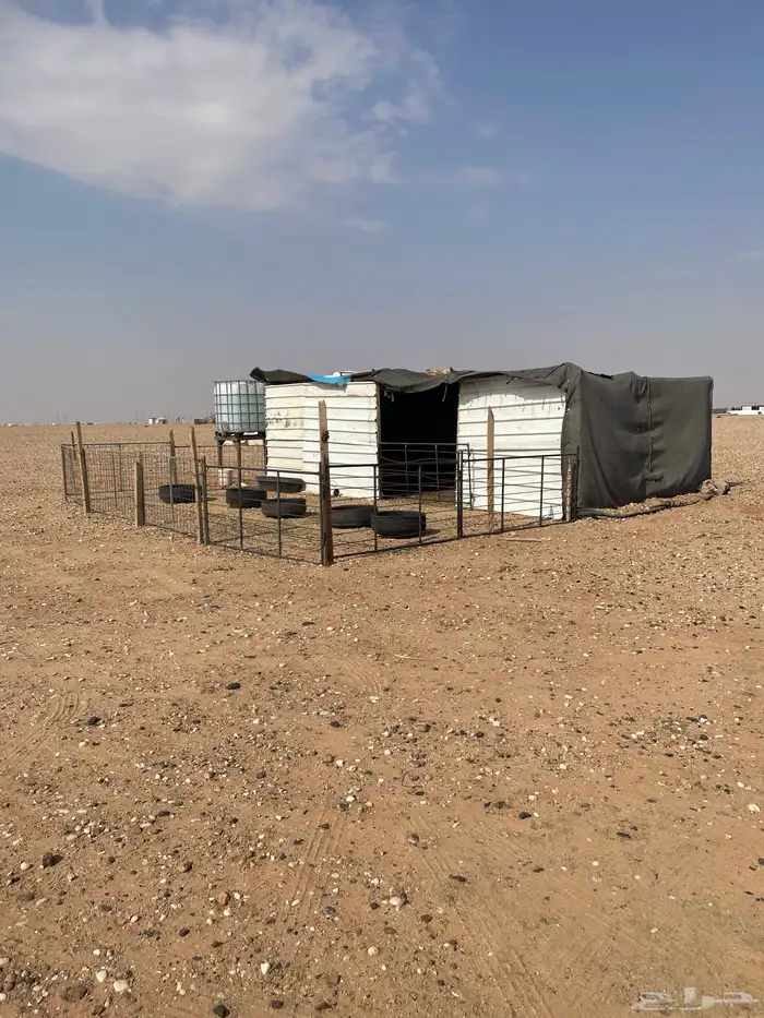 مراح للبيع جاهز مع خيمه الراعي 0