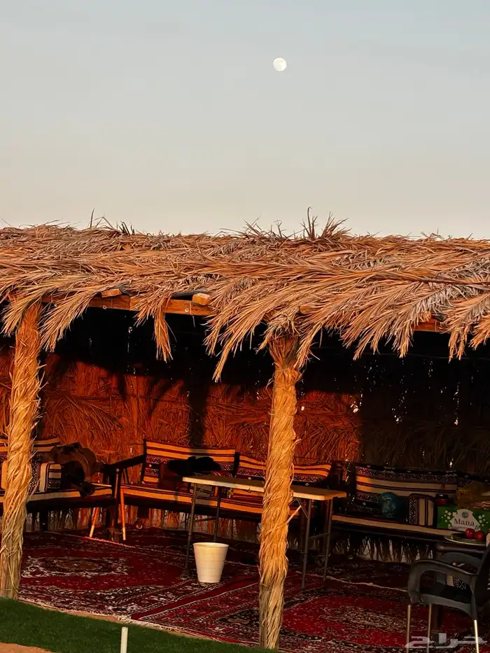 مخيم للإيجار قسمين 12