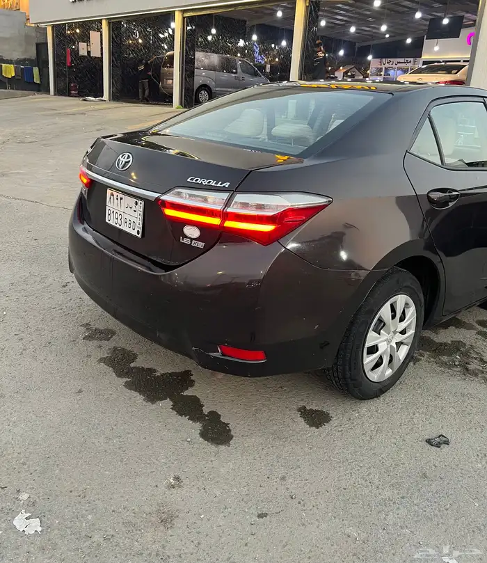 كوريلا لون بني ( موكا ) 2017 3