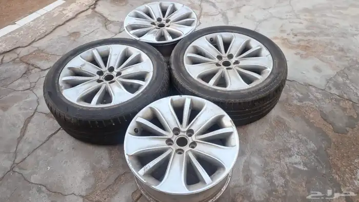 جنوط تورس 2011 0