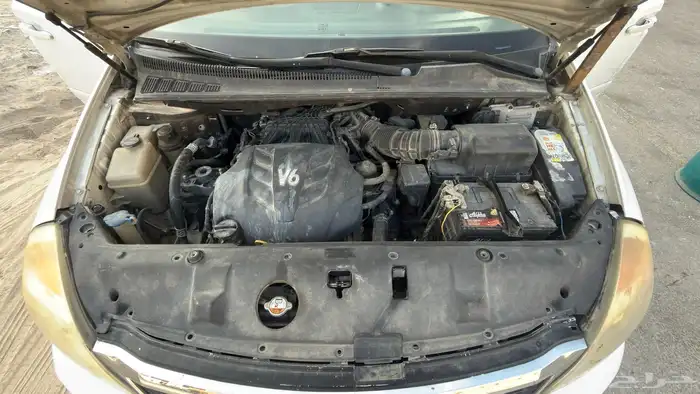 كرنفال 2014 13