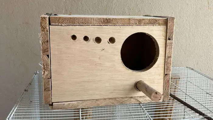 مستلزمات طيور إبر غر ونشاره وماكليات وعظم حبار وبياضات 7