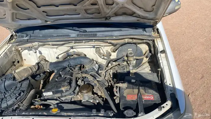 هايلقس مديل 12مشروطه للبيع 4