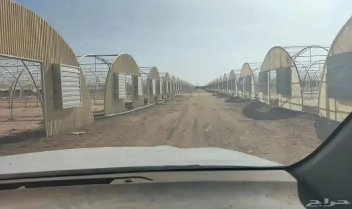 بيع بيوت محميه وتركيب بيوت محميه 15