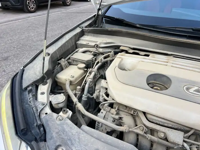 لكزس UX موديل 2019 نظيف 47