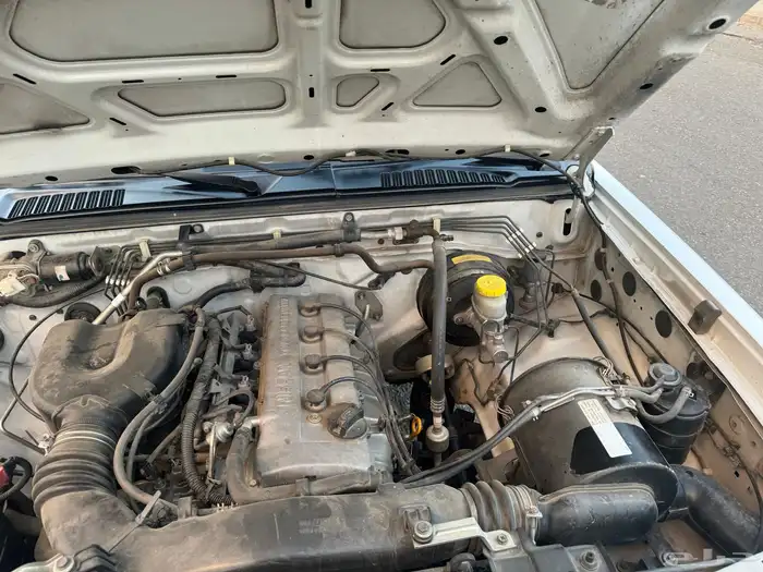 ددسن فل كامل 17