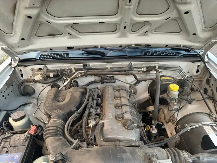 ددسن فل كامل 14