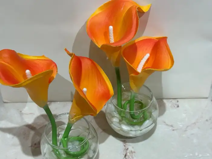 فازات طاولات خدمه 3