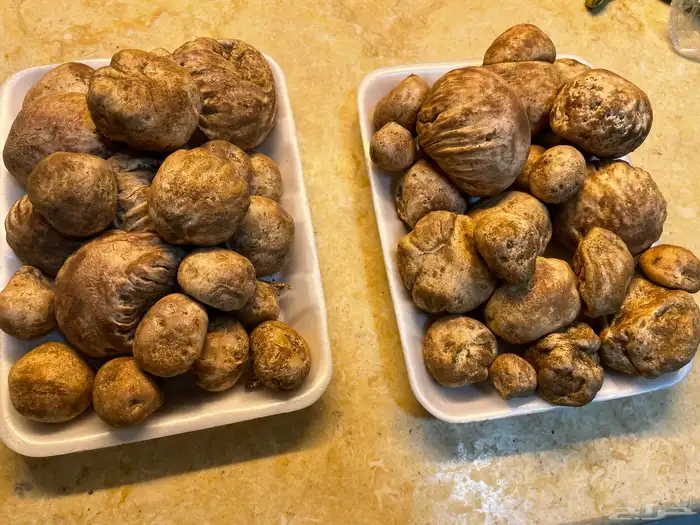 اللكم (كمأة) للبيع 0