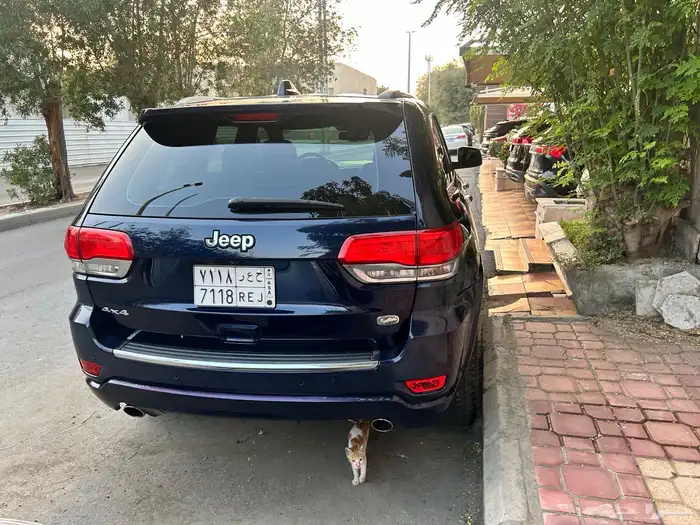 Grand Sharky 2014 فول كامل مالك أول وكالة 5