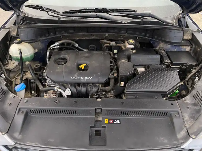 توسان 2019 المجدوعي - 2000 سي سي - ممشى قليل 9