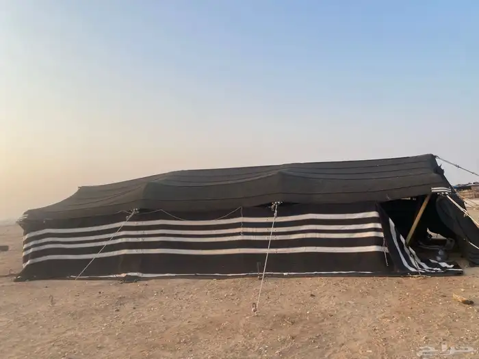 بيت شعر جديد لم يستعمل خياط حريم 3