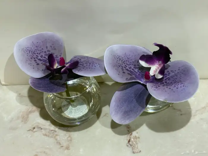 فازات طاولات خدمه 2