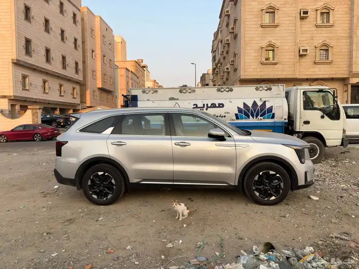 سورنتو 2025 شبه اصفار 2