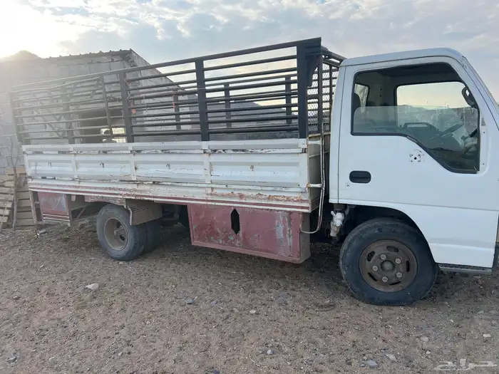 المدينة المنورة 3