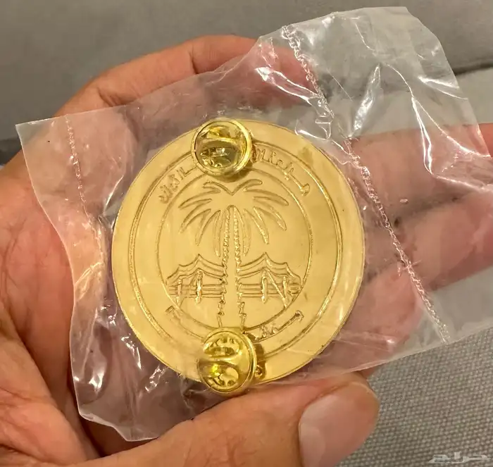 دبوس رسمي قديم للنشاط الكشفي 1