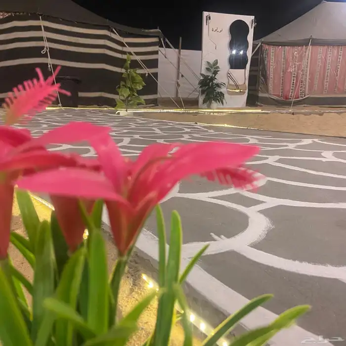 مخيم قسمين للإبحار 18