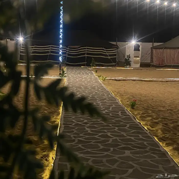 مخيم قسمين للإبحار 14