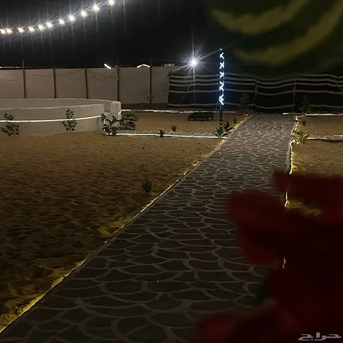 مخيم قسمين للإبحار 15