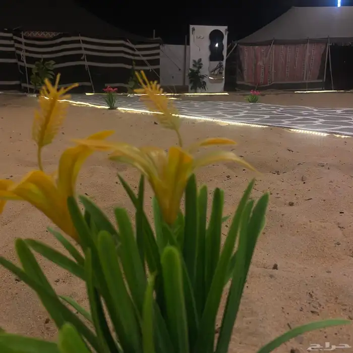 مخيم قسمين للإبحار 17