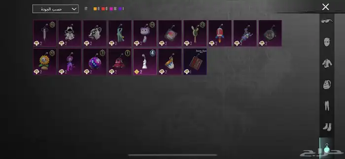 حساب ببجي للبيع 19