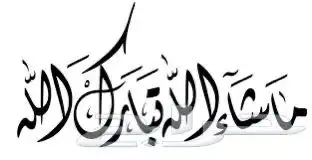 ديفندر 2020 - HSE110 - Defender P300 6