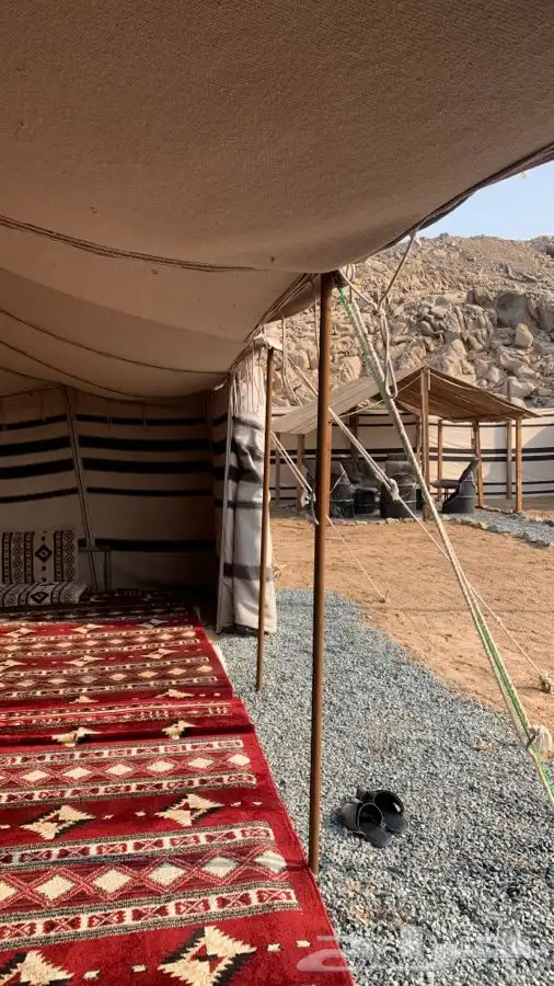 مخيم صهيل للإيجار اليومي 16