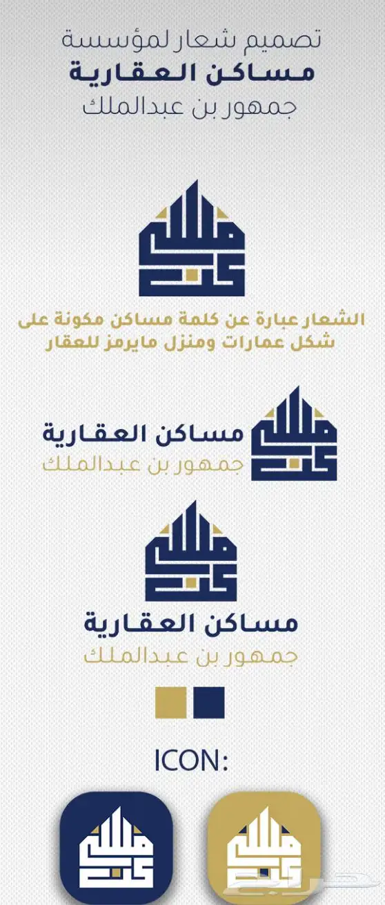 تصميم سيرة احترافية وبوستات ومتاجر سلة 2