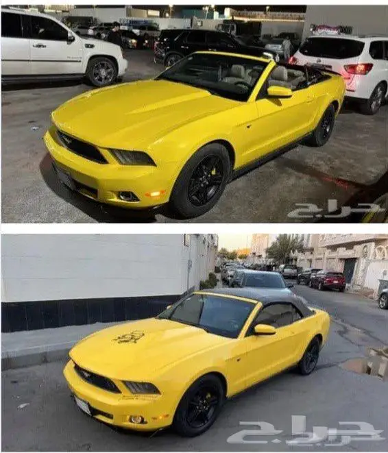 موستنج 2012 كشف نظيف 0
