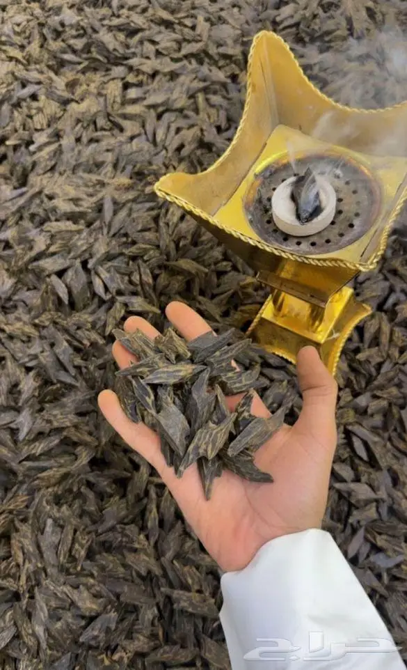 عود تايقر اصلي 0