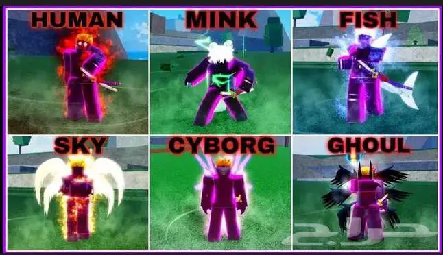 حساب بلوكس فروت ريس v4 فول قير عشوائي 0