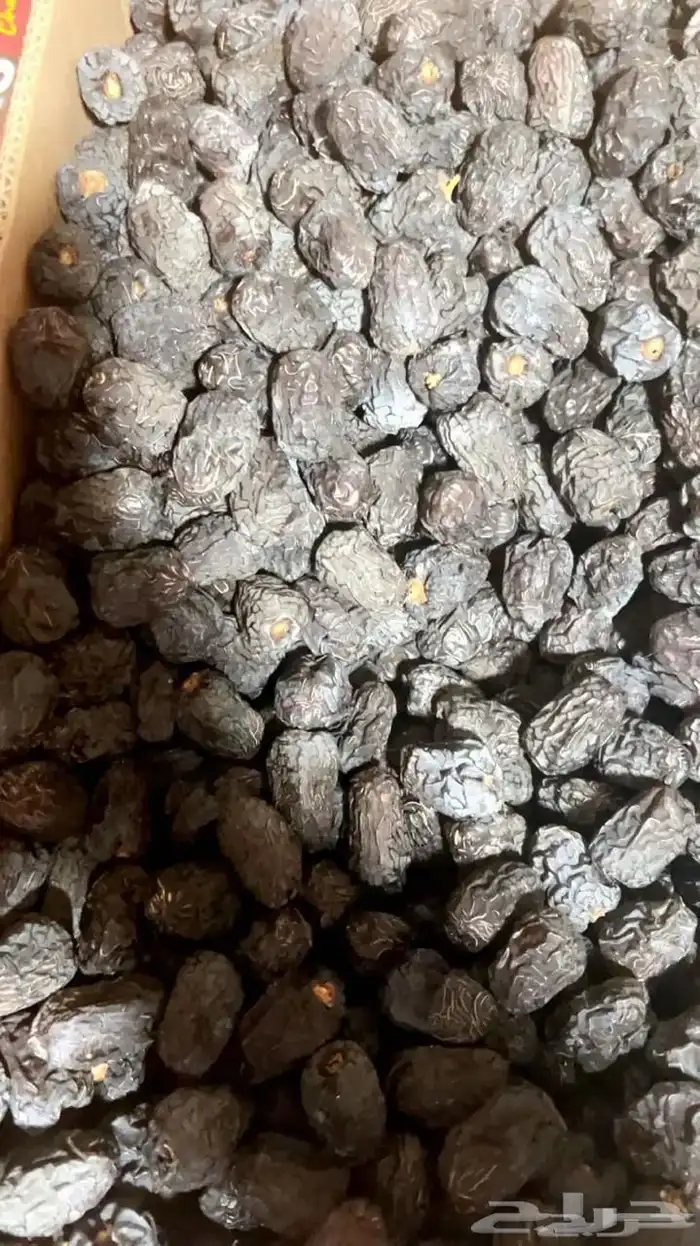 تمر عجوةالمدينه حبه فاخره عضوي بدون كيماوي من مزرعتي 2