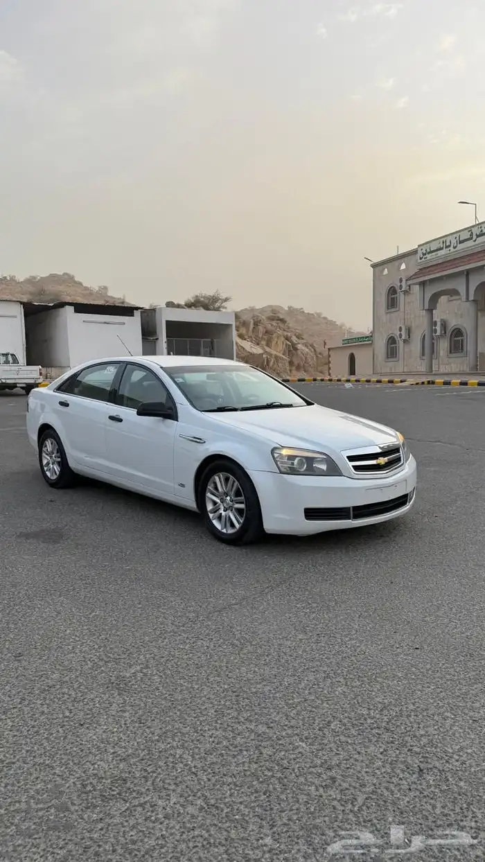 كابرس شفرليت وارد التوكيلات 1