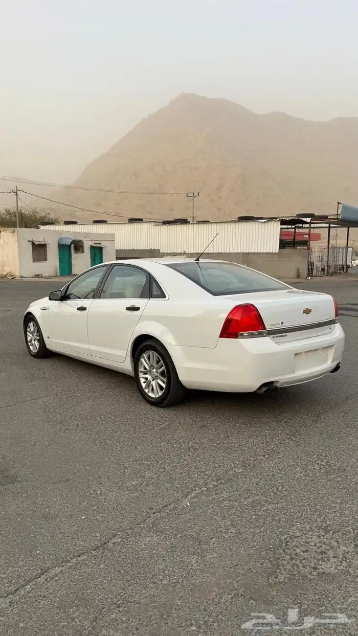 كابرس شفرليت وارد التوكيلات 3