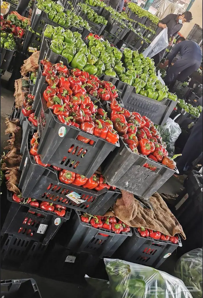 توصيل خضروات القصيم بالجملة إلى جميع مدن المملكة 1