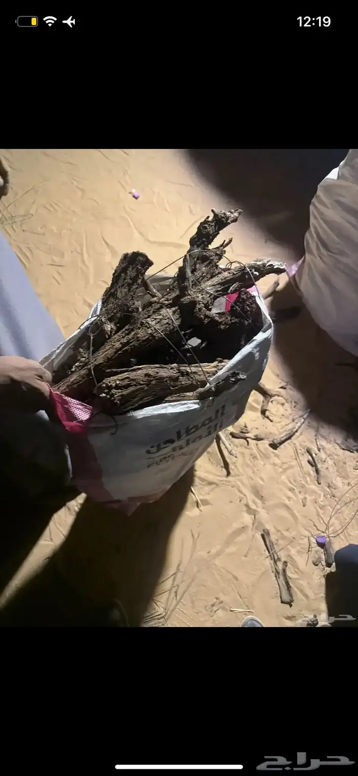 حطب مستورد و غيرة 1