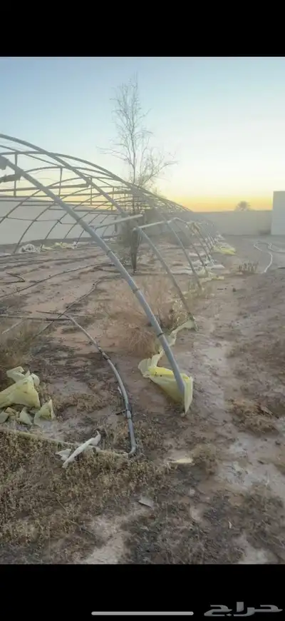 بيت محمي للبيع index